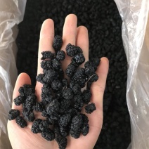 新疆桑葚干新货规格齐全无硫水洗桑葚干大货批发一手货