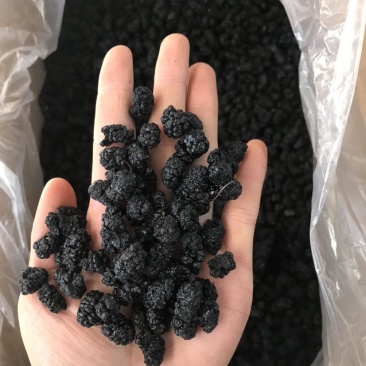 新疆桑葚干新货规格齐全无硫水洗桑葚干大货批发一手货