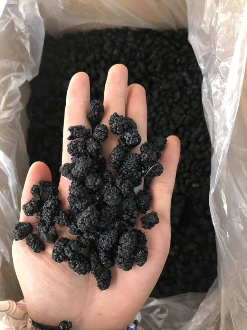 新疆桑葚干新货规格齐全无硫水洗桑葚干大货批发一手货