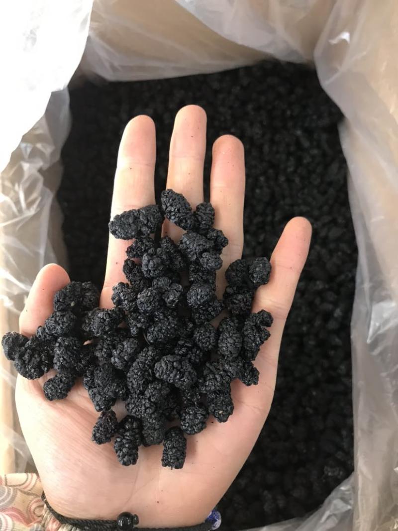 新疆桑葚干新货规格齐全无硫水洗桑葚干大货批发一手货