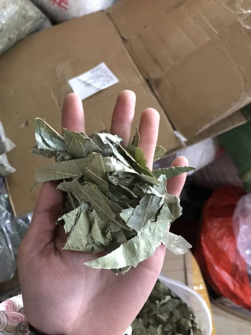 淫羊藿淫羊货叶子淫羊藿根茎大货批发一手货源欢迎选购