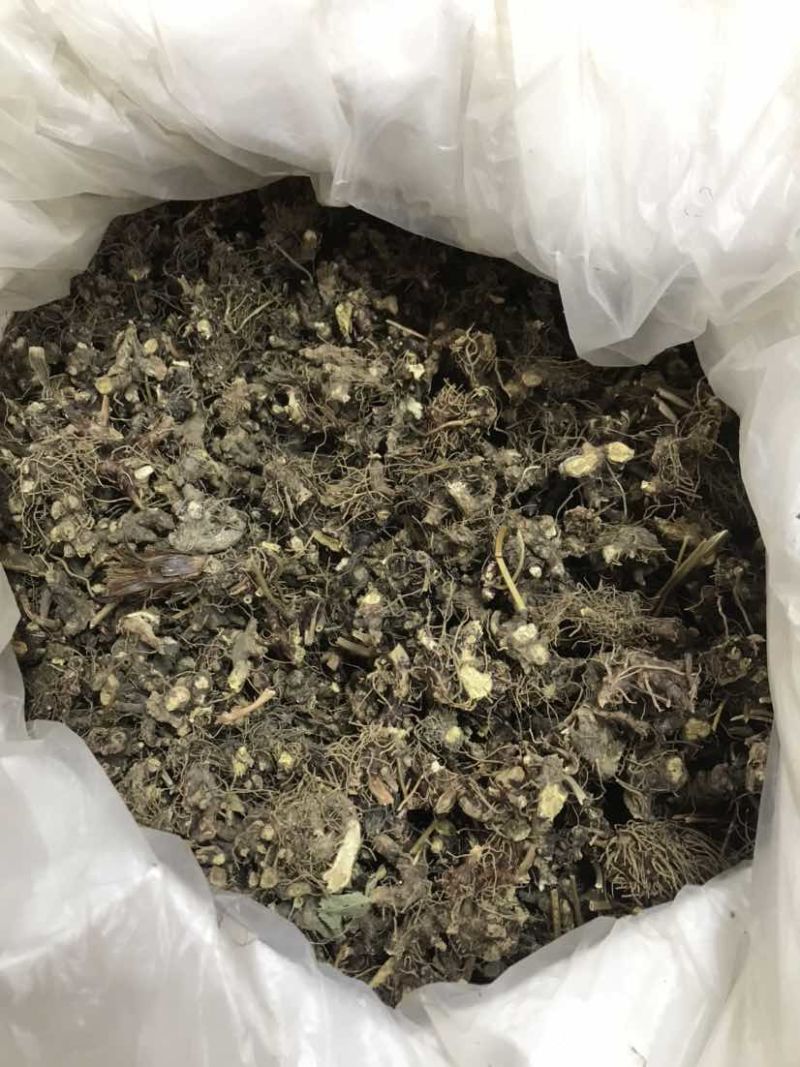 淫羊藿淫羊货叶子淫羊藿根茎大货批发一手货源欢迎选购