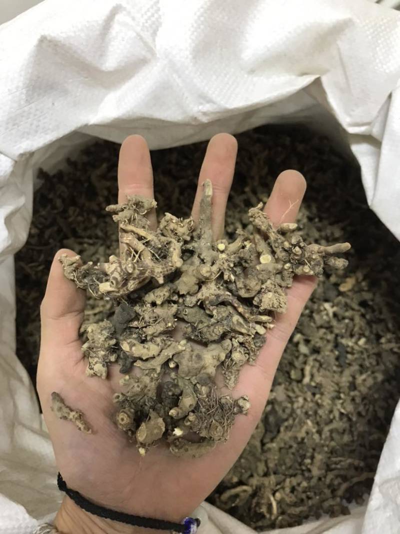 淫羊藿淫羊货叶子淫羊藿根茎大货批发一手货源欢迎选购