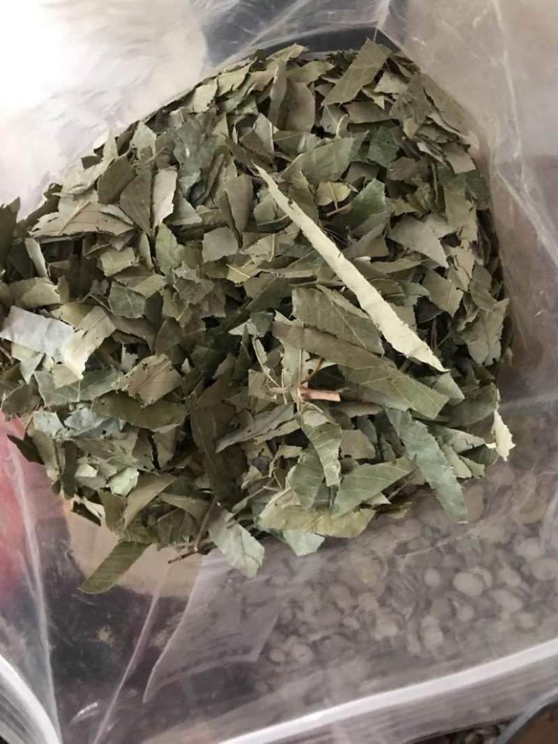 淫羊藿淫羊货叶子淫羊藿根茎大货批发一手货源欢迎选购