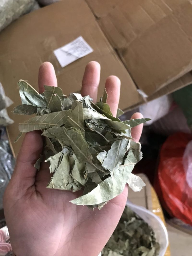 淫羊藿淫羊货叶子淫羊藿根茎大货批发一手货源欢迎选购