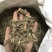 淫羊藿淫羊货叶子淫羊藿根茎大货批发一手货源欢迎选购
