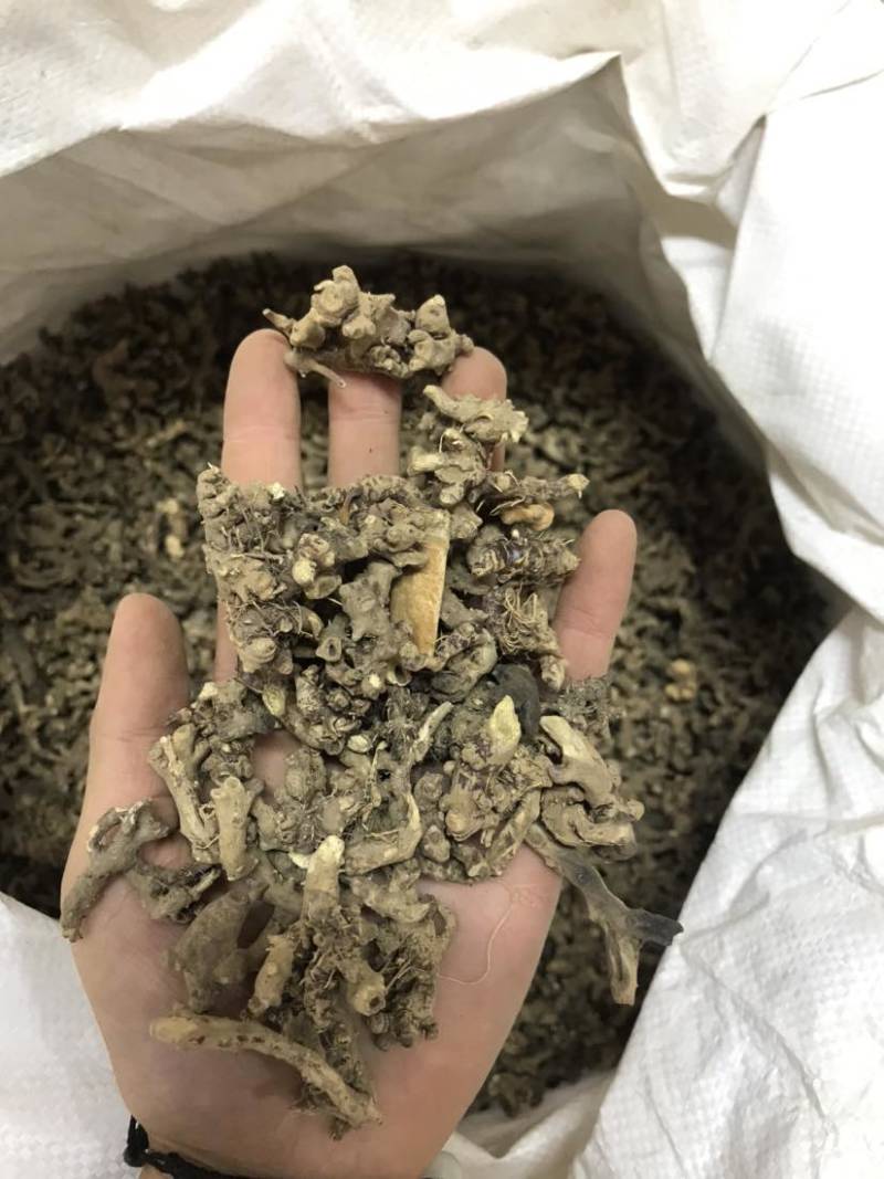 淫羊藿淫羊货叶子淫羊藿根茎大货批发一手货源欢迎选购
