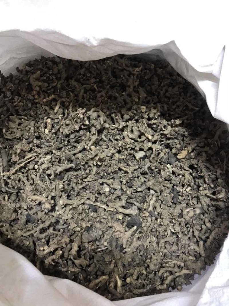 淫羊藿淫羊货叶子淫羊藿根茎大货批发一手货源欢迎选购