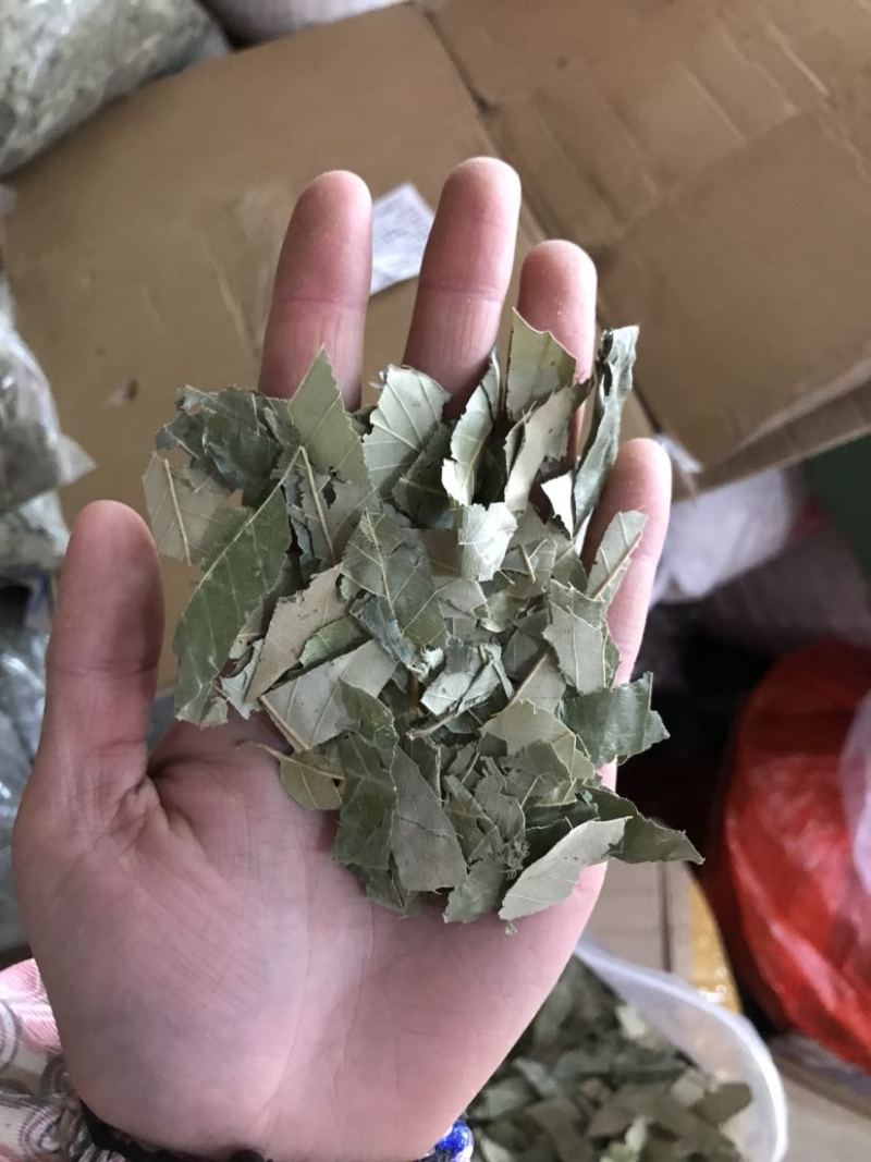 淫羊藿淫羊货叶子淫羊藿根茎大货批发一手货源欢迎选购