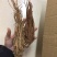 当归云南当归甜当归菜当归当归头当归头片一手货源
