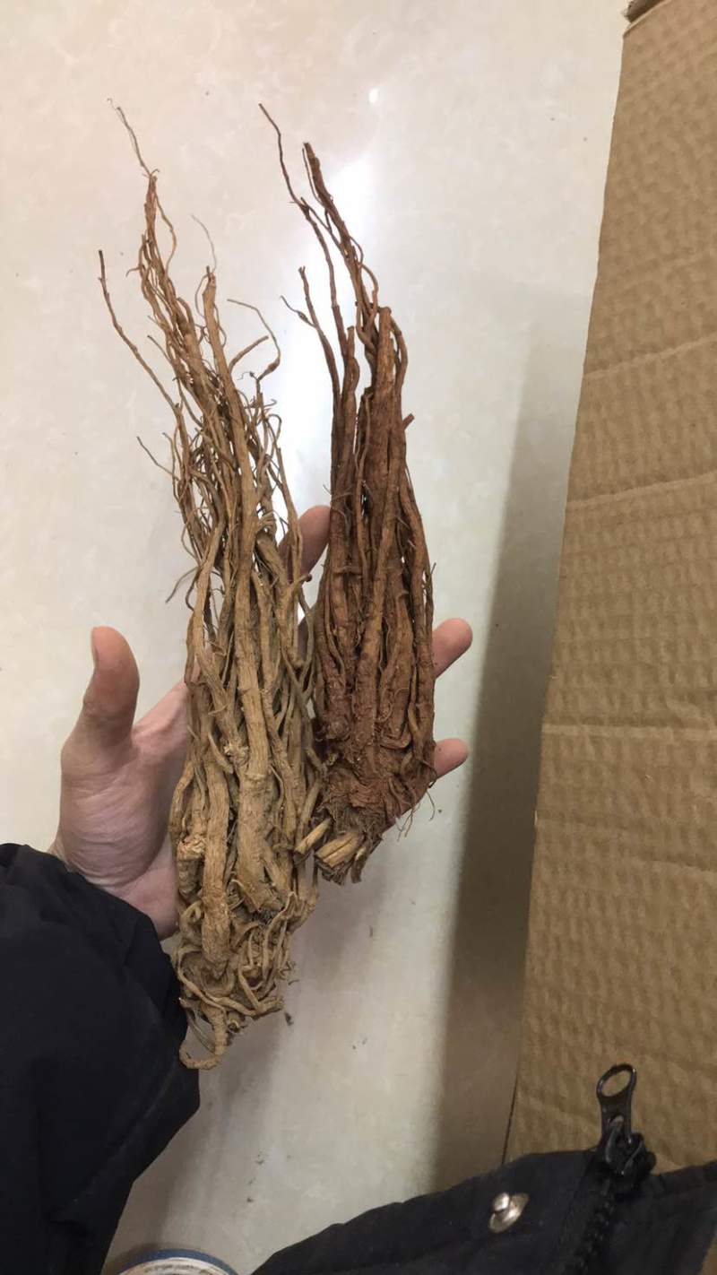 当归云南当归甜当归菜当归当归头当归头片一手货源