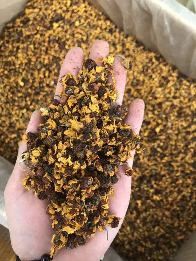 菊花茶雪菊昆仑雪菊天山雪菊大货批发可批发零售欢迎