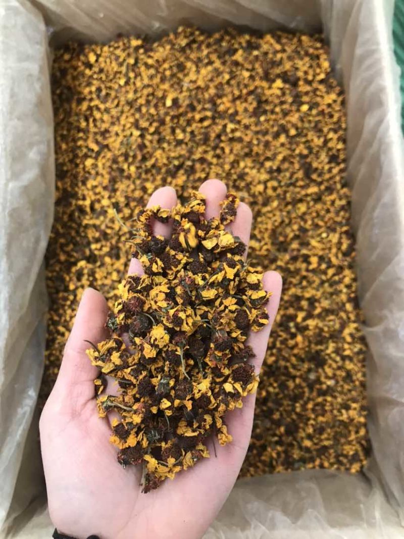 菊花茶雪菊昆仑雪菊天山雪菊大货批发可批发零售欢迎