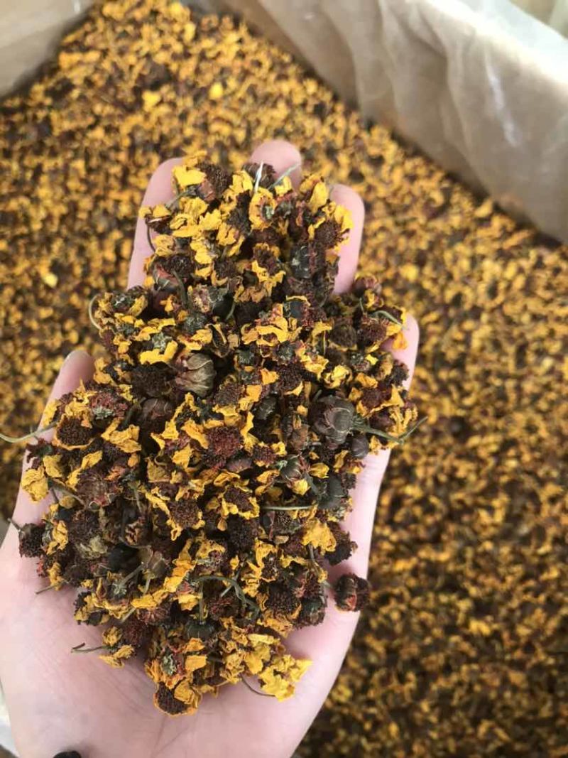 菊花茶雪菊昆仑雪菊天山雪菊大货批发可批发零售欢迎