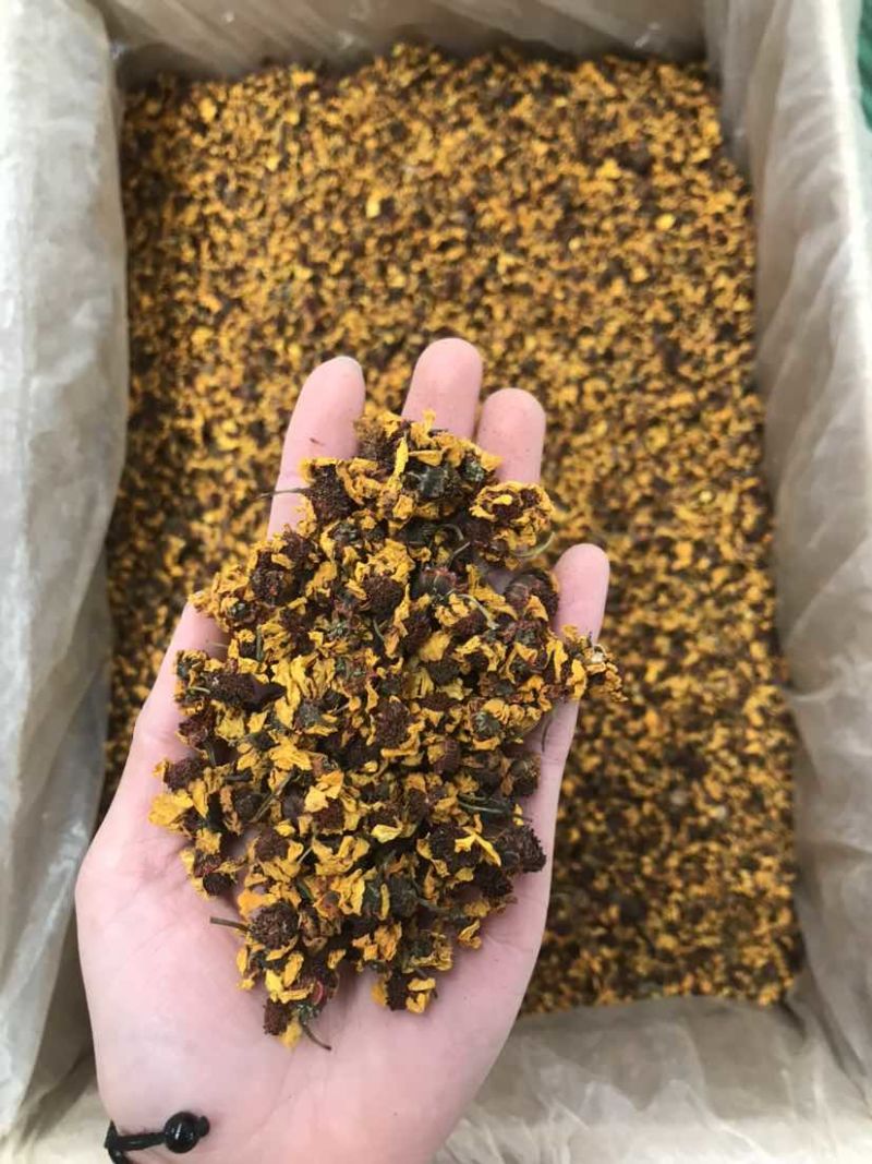 菊花茶雪菊昆仑雪菊天山雪菊大货批发可批发零售欢迎