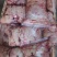 鲤鱼籽大量批发