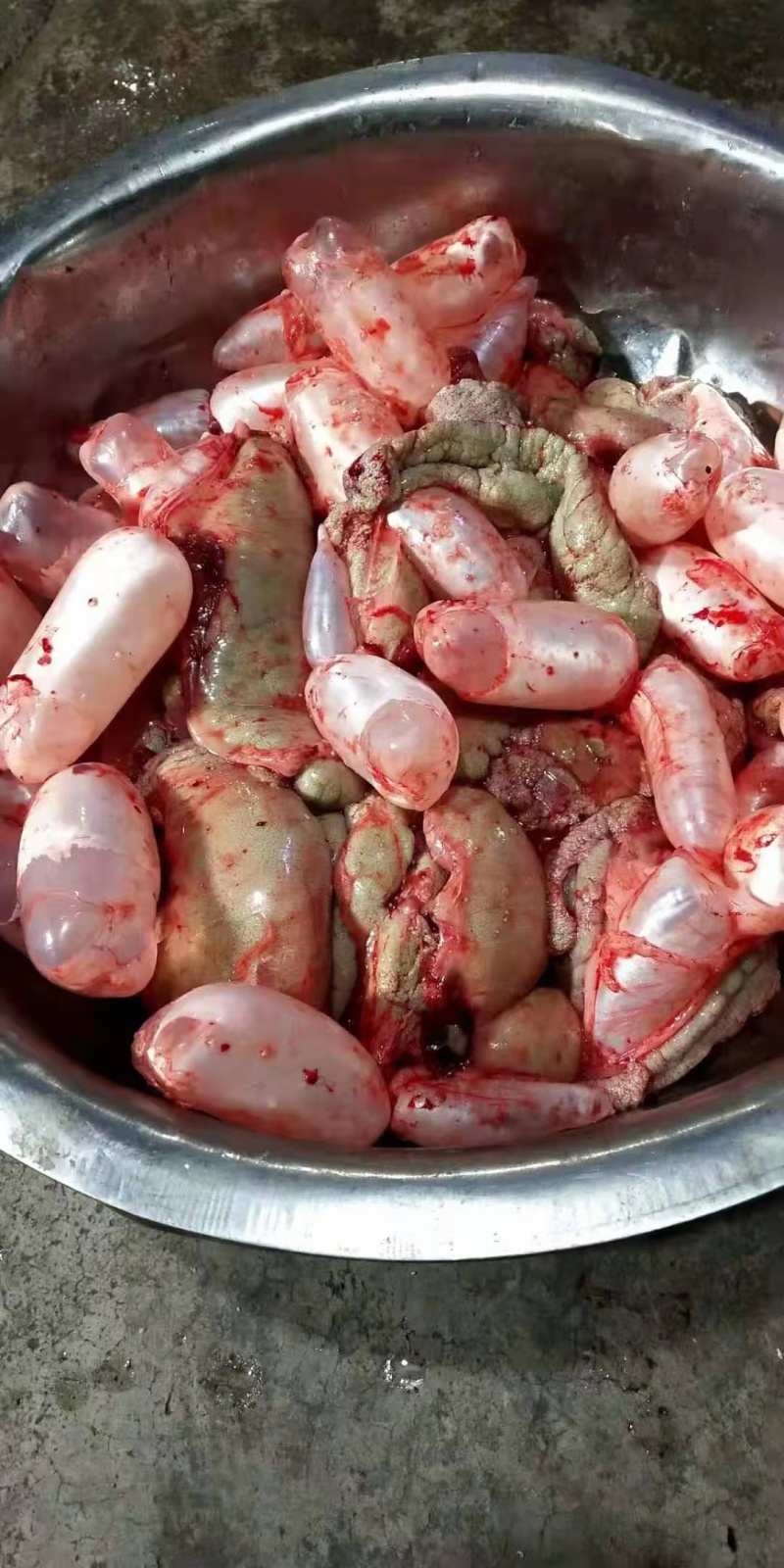 鲤鱼籽大量批发