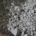 山芋粉