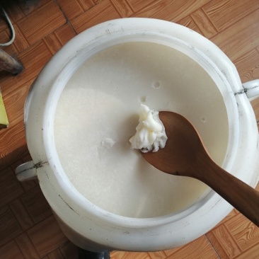 东北深山椴树雪蜜，结晶细腻，浓度在41.5度以上