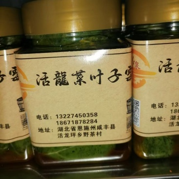 活龍菜叶霉豆腐