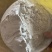 自家种的本地荞麦3000斤，农产品，土货