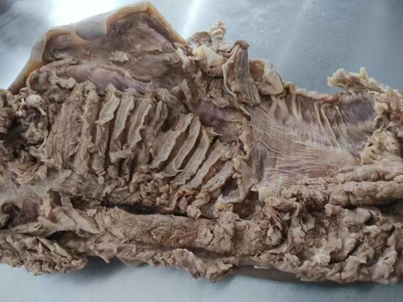 熟羊肉百万山熟羊肉全部保证山羊肉，无绵羊厂家直销量大从优