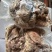 熟羊肉百万山熟羊肉全部保证山羊肉，无绵羊厂家直销量大从优