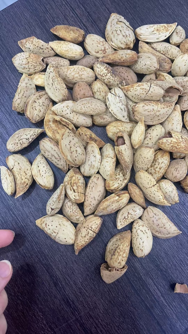 巴达木大量现货支持一件代发