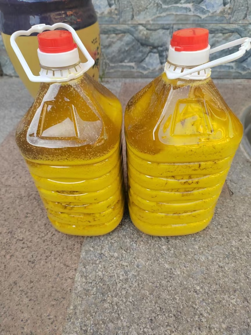 白菜型冬油菜籽3-5万斤***位合适了打电话联