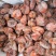 太行山柿饼
