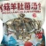 云南羊肚菌，菌汤包