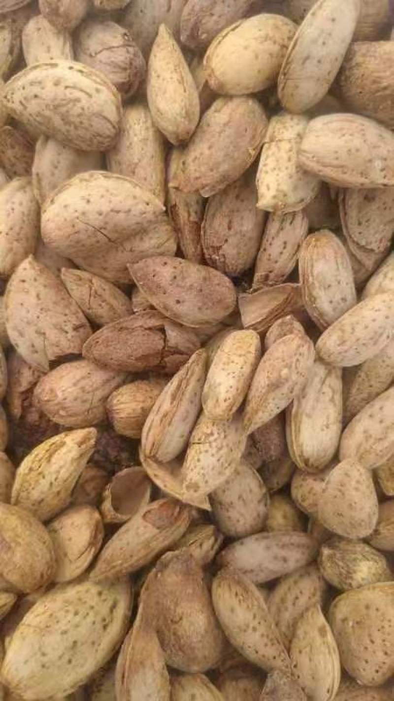 巴旦木大量现货支持一件代发