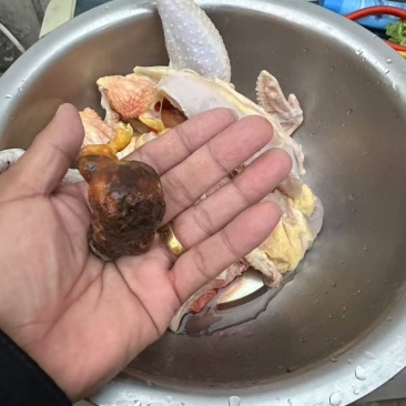 鸡宝25克