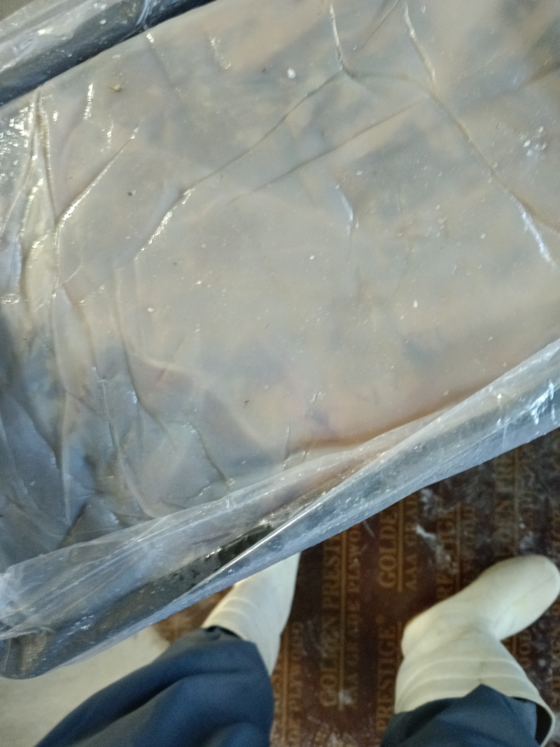 提干红海蜇皮