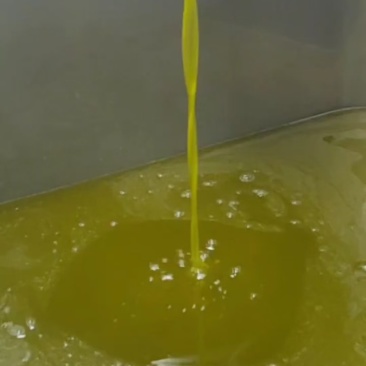 橄榄油