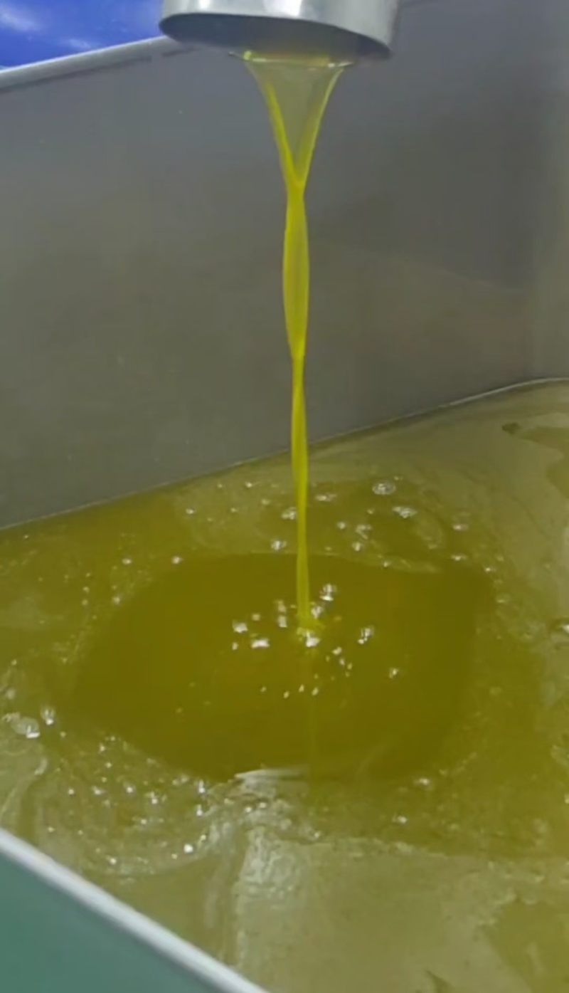 橄榄油