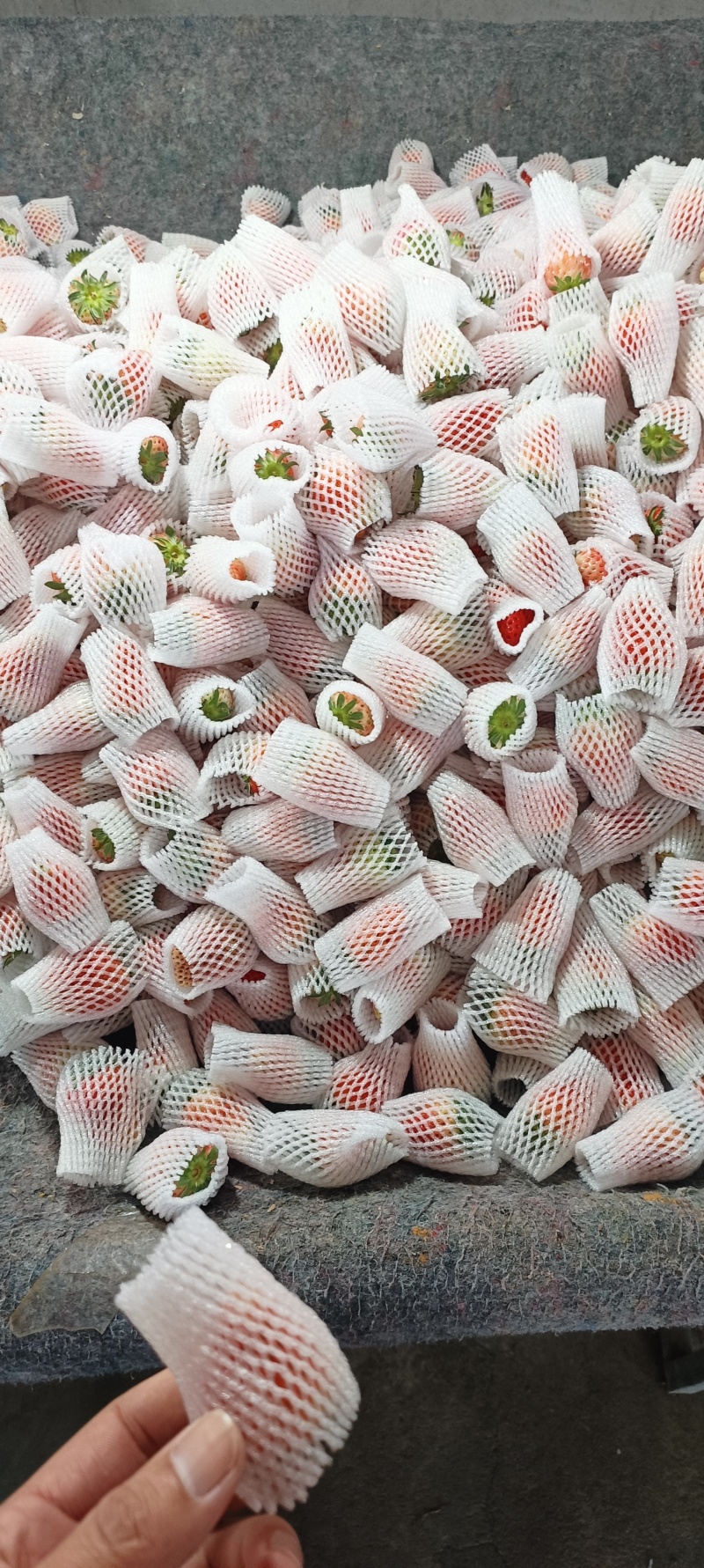 耿集草莓大量有货，需要的老铁联系我价格低，口感好
