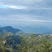 柏树、香樟树、竹子
