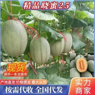 哈密瓜