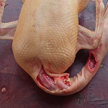 生鲜鸭子
