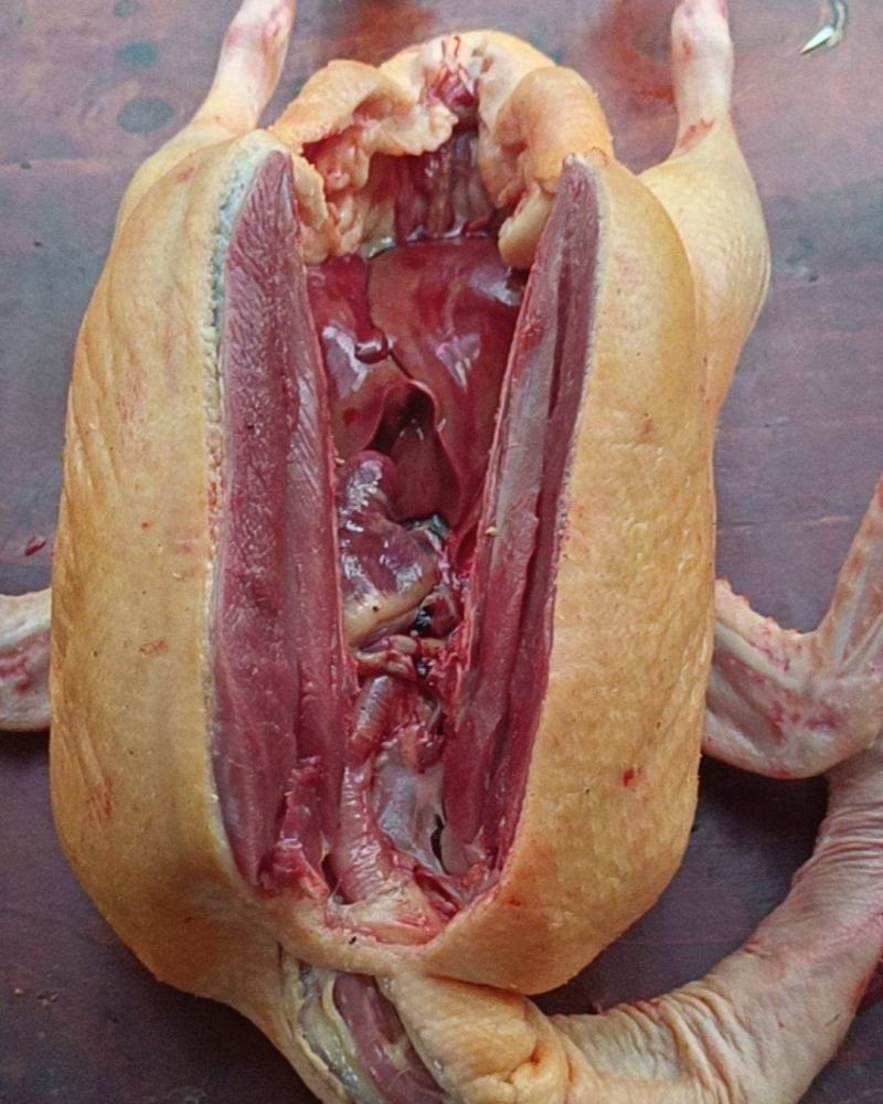 生鲜鸭子