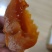 正宗农家陕西富平柿饼