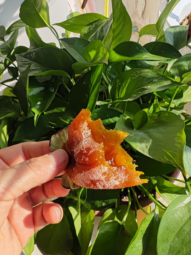 正宗农家陕西富平柿饼