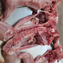 新兔肉