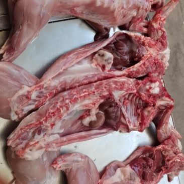 新兔肉