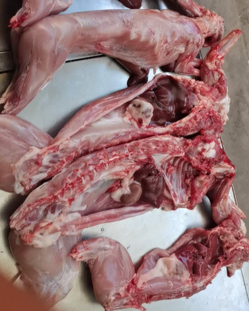 新兔肉