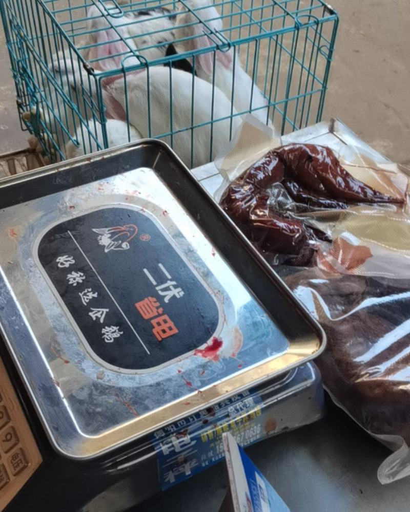 新兔肉