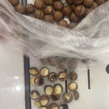 夏威夷果电商通货大量现货支持一件代发有量就有价格