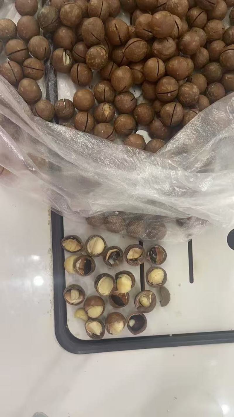 夏威夷果电商通货大量现货支持一件代发有量就有价格