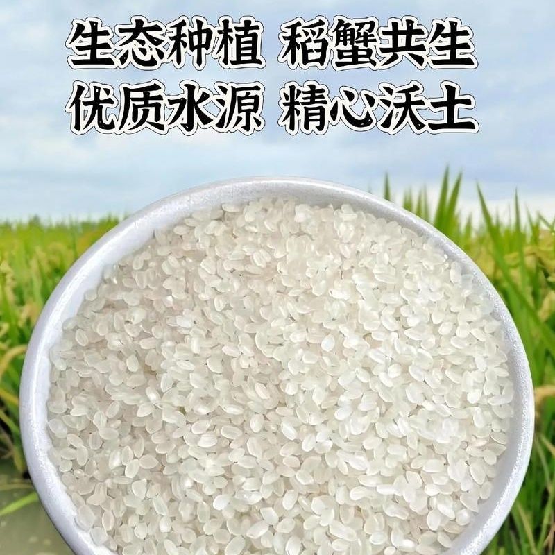 盘锦蟹田大米粳米圆粒批发